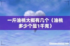 油桃多少个是1千克 一斤油桃大概有几个