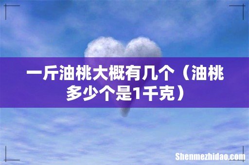 油桃多少个是1千克 一斤油桃大概有几个