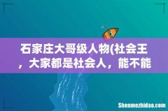 社会王，大家都是社会人，能不能给个面子卖我把加特林 石家庄大哥级人物