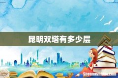 昆明双塔有多少层