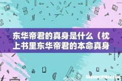 枕上书里东华帝君的本命真身 东华帝君的真身是什么