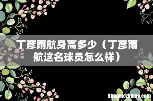 丁彦雨航这名球员怎么样 丁彦雨航身高多少