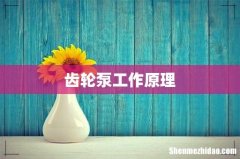 齿轮泵工作原理