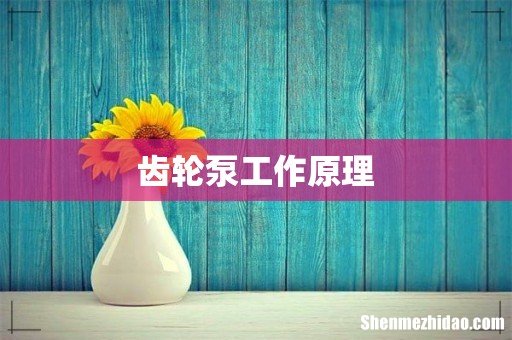 齿轮泵工作原理