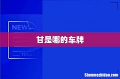 甘是哪的车牌
