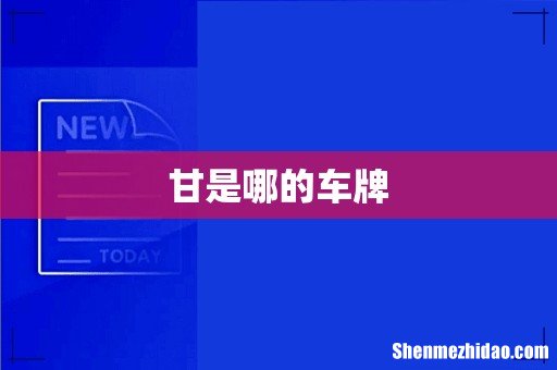 甘是哪的车牌