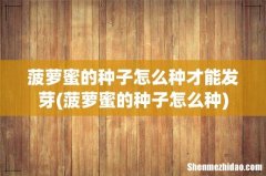 菠萝蜜的种子怎么种 菠萝蜜的种子怎么种才能发芽