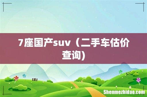 7座国产suv(二手车估价查询)