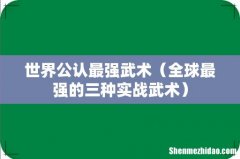 全球最强的三种实战武术 世界公认最强武术