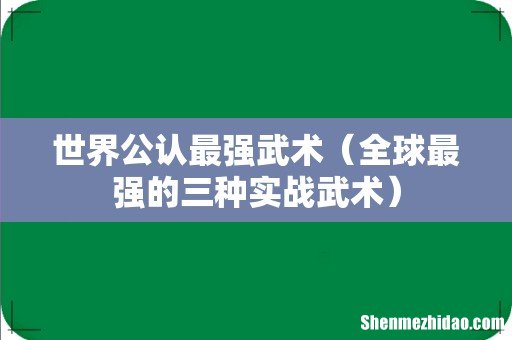 全球最强的三种实战武术 世界公认最强武术