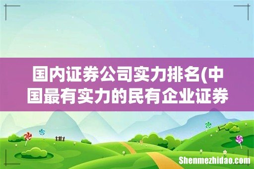 中国最有实力的民有企业证券公司有哪些- 国内证券公司实力排名