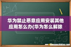 华为怎么解除禁止恶意应用安装 华为禁止恶意应用安装其他应用怎么办