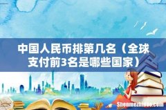 全球支付前3名是哪些国家 中国人民币排第几名
