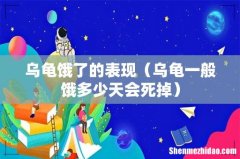 乌龟一般饿多少天会死掉 乌龟饿了的表现
