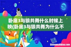 卧底3与狼共舞为什么不拍了 卧底3与狼共舞什么时候上映