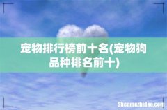 宠物狗品种排名前十 宠物排行榜前十名