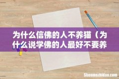 为什么说学佛的人最好不要养猫 为什么信佛的人不养猫