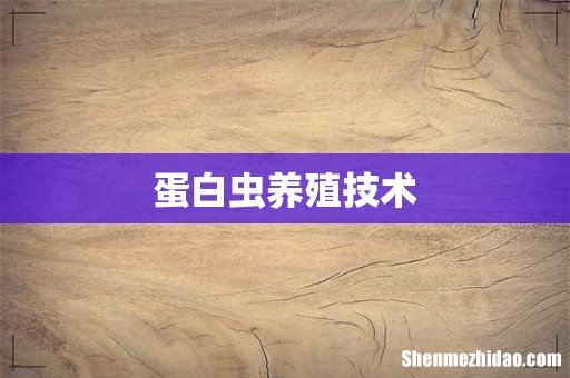 蛋白虫养殖技术