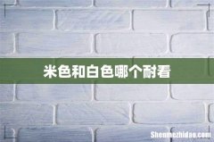 米色和白色哪个耐看