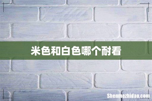 米色和白色哪个耐看