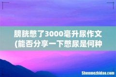 能否分享一下憋尿是何种感受？ 膀胱憋了3000毫升尿作文