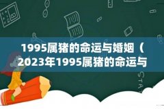 1995属猪的命运与婚姻（2023年1995属猪的命运与婚姻)