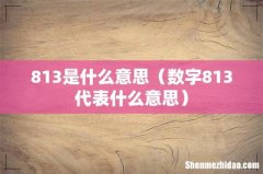数字813代表什么意思 813是什么意思