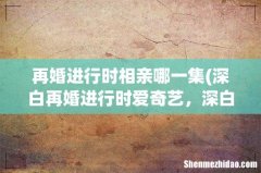 深白再婚进行时爱奇艺，深白·再婚进行时的播出信息 再婚进行时相亲哪一集
