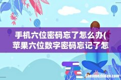 苹果六位数字密码忘记了怎么办啊？ 手机六位密码忘了怎么办