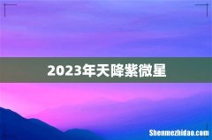 2023年天降紫微星