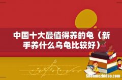 新手养什么乌龟比较好 中国十大最值得养的龟