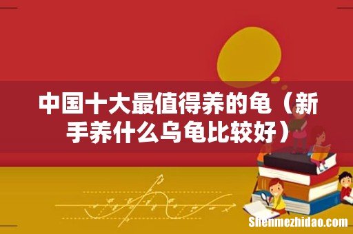 新手养什么乌龟比较好 中国十大最值得养的龟