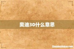奥迪30什么意思