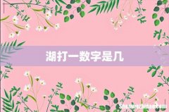 湖打一数字是几