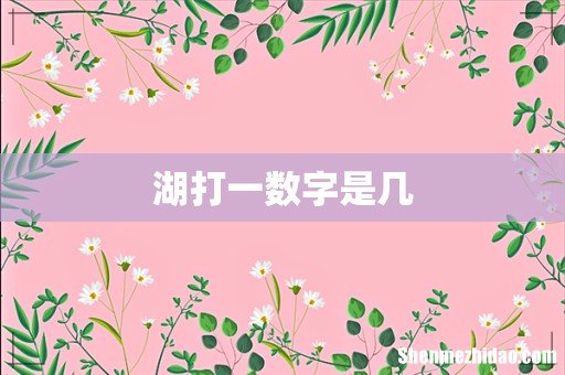湖打一数字是几