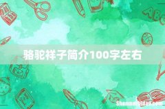 骆驼祥子简介100字左右