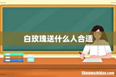白玫瑰送什么人合适