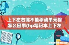 hp笔记本上下左右键不能移动单元格？ 上下左右键不能移动单元格怎么回事