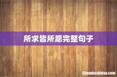 所求皆所愿完整句子