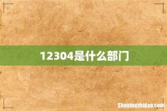12304是什么部门