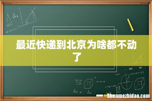 最近快递到北京为啥都不动了