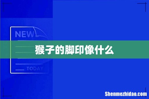 猴子的脚印像什么
