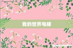 我的世界电梯