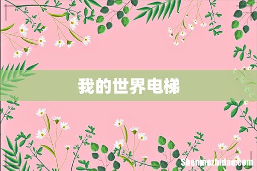 我的世界电梯
