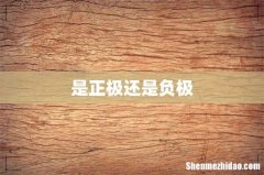 是正极还是负极