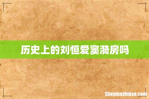 历史上的刘恒爱窦漪房吗