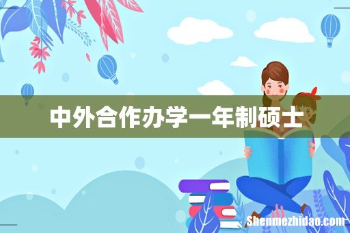 中外合作办学一年制硕士