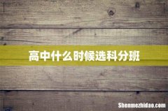 高中什么时候选科分班