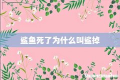 鲨鱼死了为什么叫鲨掉