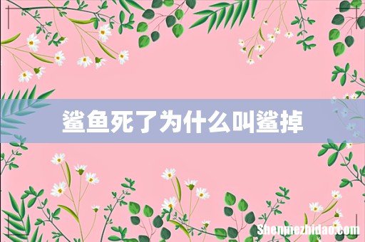 鲨鱼死了为什么叫鲨掉